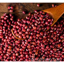 Rote Bohnen-Betriebskleine rote Bohnen
